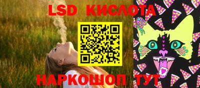 2c-b Пугачёв