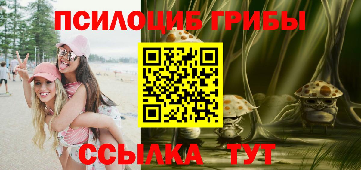Галлюциногенные грибы Magic Shrooms  Вход с VPN  купить закладку  Новодвинск 